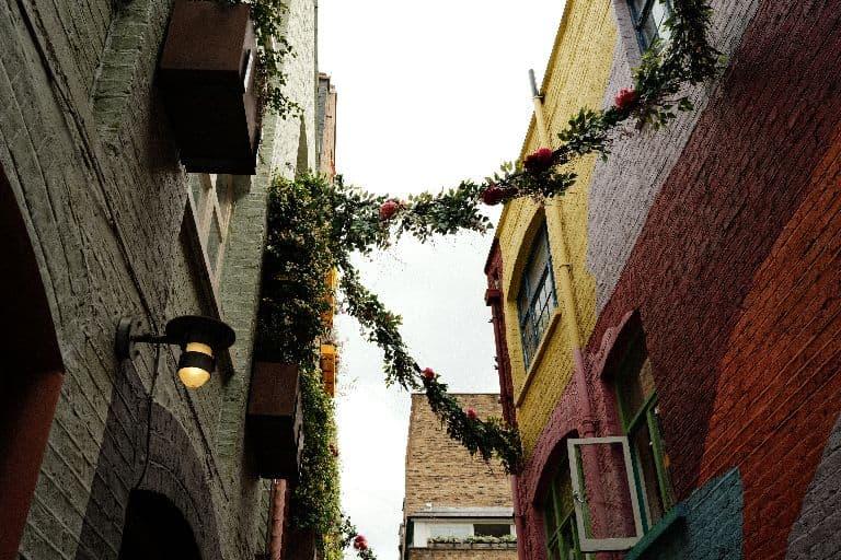 A narrow alley strung with greenery between brick buildings