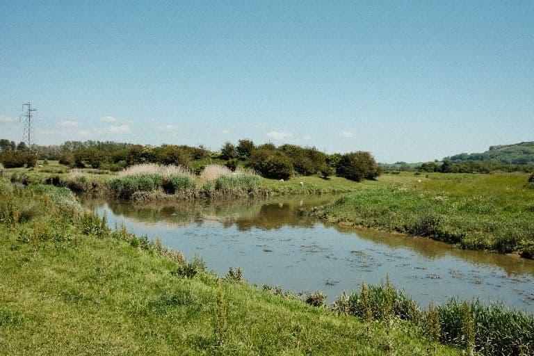 A river winding through green fields on a sunny day